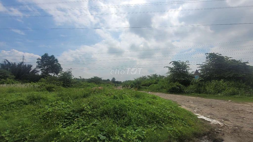 Bán lô mặt tiền nguyễn hữu thọ, P Kiển, Nhà Bè - Ảnh 3