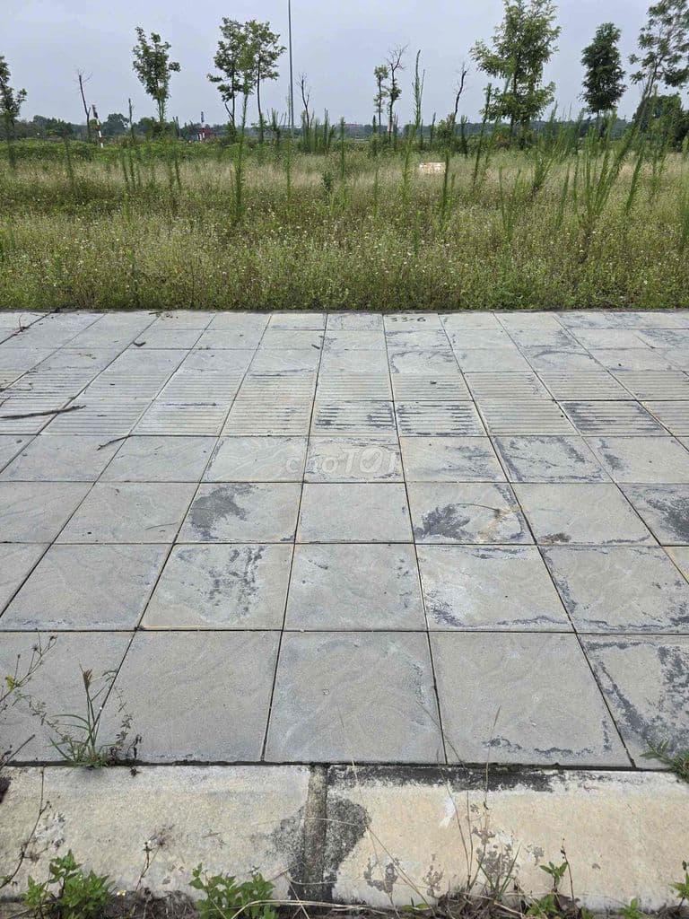 TRAI ĐẸP HƠN 5 tỷ- ĐƯỜNG Ô TÔ MẶT ĐƯỜNG KINH DOANH , THƯ LÂM ĐÔNG ANH