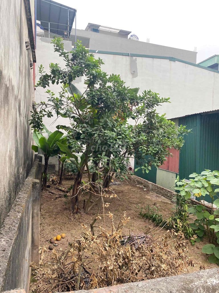 70m Đất Mai Lâm Đông Anh