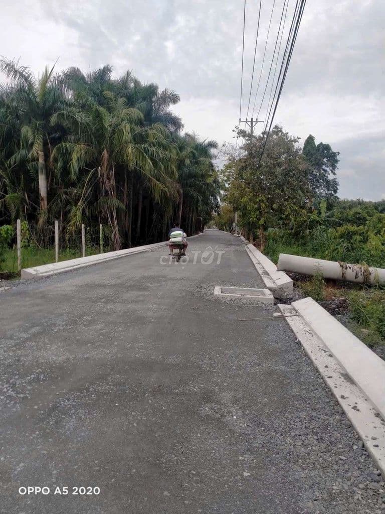 Bán 1300m mặt tiền Nhị Bình 5, đường nhựa lớn - Ảnh 3