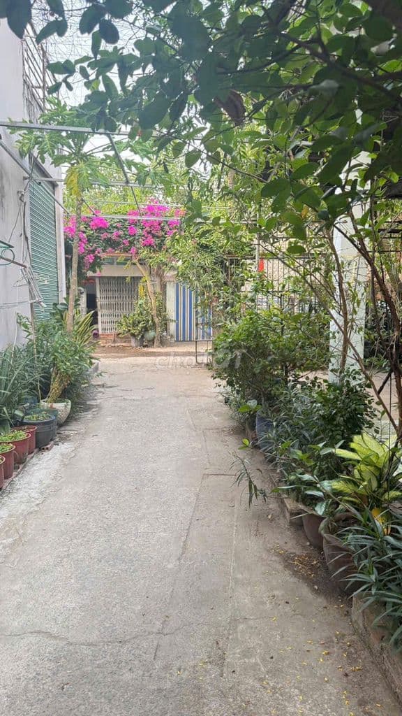 🏡 NHÀ ĐẸP HXH LÔ GÓC – HIẾM CÓ TẠI PHƯỚC LONG B – GIÁ CHỈ 3.75 TỶ 💥 - Ảnh 2