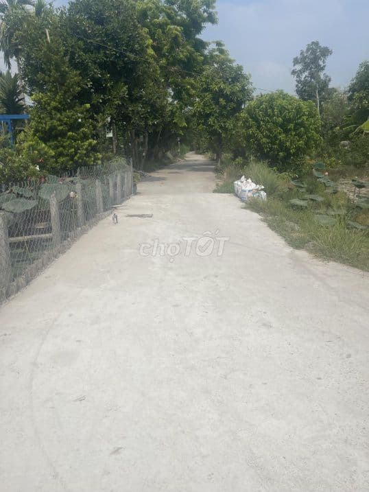 Đất Quận 12 - 5x21 - Thạnh Xuân 18 - Khu dân cư đông - Ảnh 3