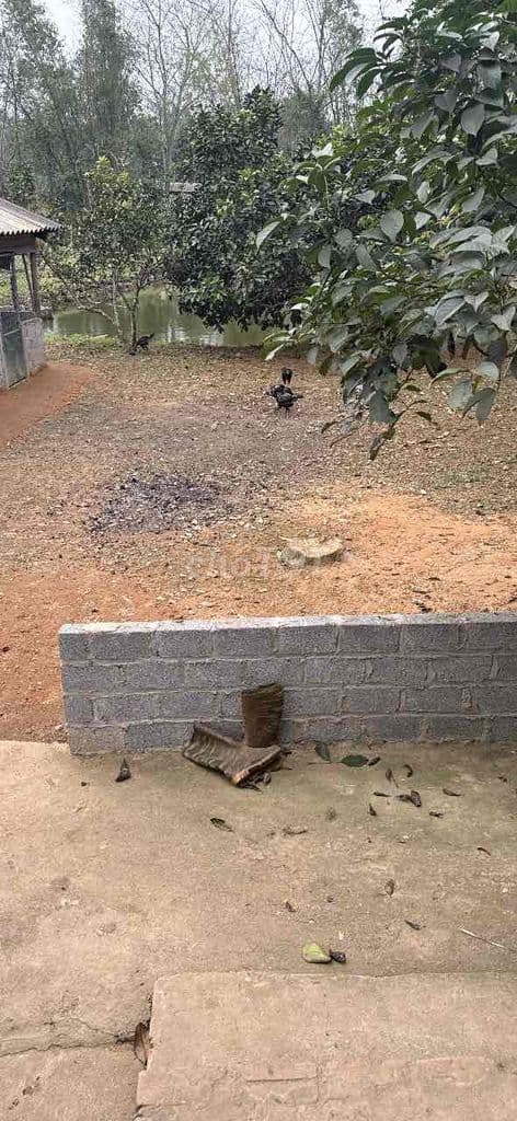 đất thổ cư S 78m2 đã có sổ khu dịch vụ Lại Yên - Ảnh 3