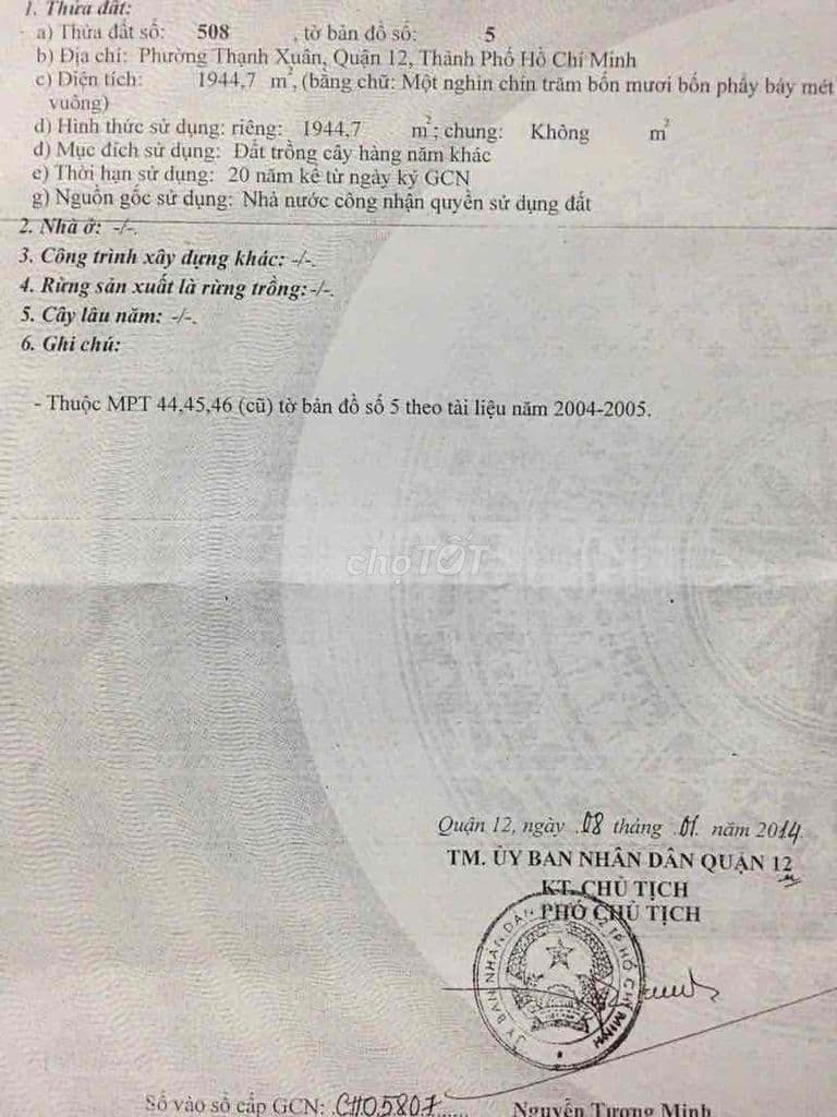 1807m2 đất trồng cây Thạnh Xuân 52 vào đường 6m - Ảnh 2