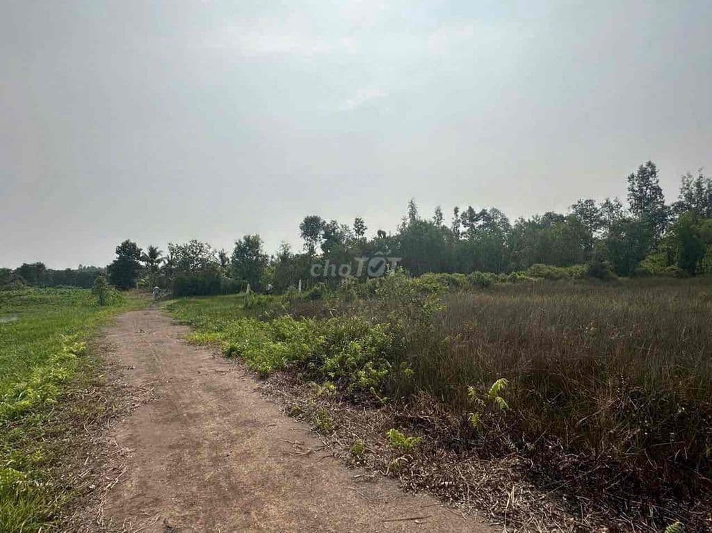 4.200m2 MT Sông An Phú 79m Giá 1.1 tr/m2 thương lượng