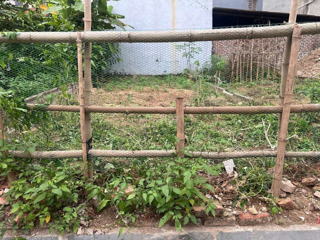 TRONG KHU VIN BẮC HỒNG- GIÁ CHỈ HƠN 3 TỶ- 44M2 ĐƯỜNG THÔNG Ô TÔ - Ảnh 2
