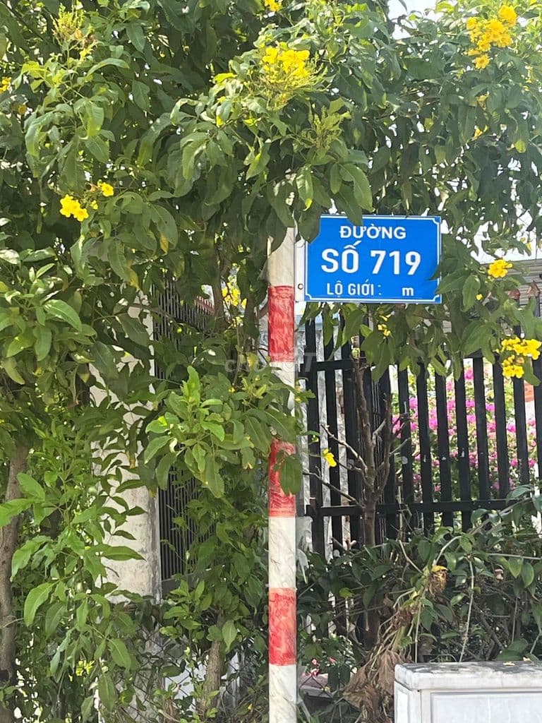 Cần bán gấp đất củ chi chính chủ - Ảnh 3