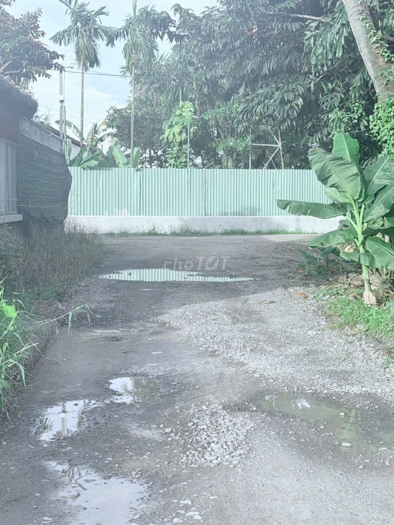 Bán Nhanh lô đất Nhà Bè 2747m2 để chia tài sản giá cực mềm - Ảnh 2