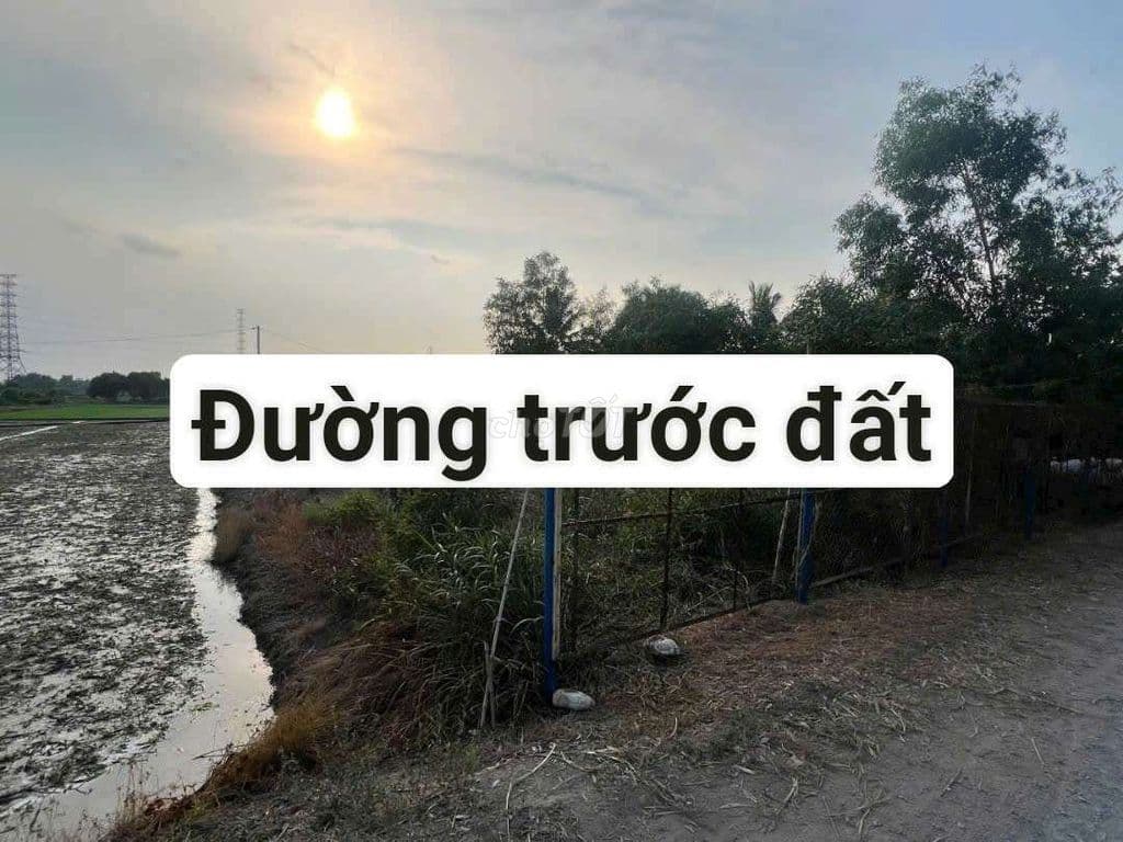 BÁN ĐẤT TCLN đường xe tải Bình Mỹ - Ảnh 2