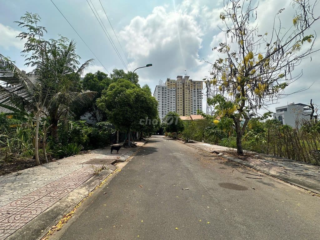 Bán gấp lô đất dự án Mẫu Giáo Trung Ương 3 DT 12x28m giá 80tr/m2 - Ảnh 2