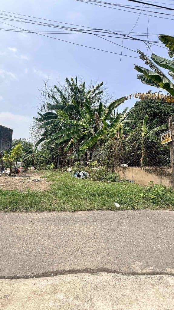 📣 BÁN LÔ ĐẤT SHR – GIÁ TỐT ĐẦU TƯ / XÂY Ở . Dt: 5x15m . funl thổ cư. - Ảnh 3