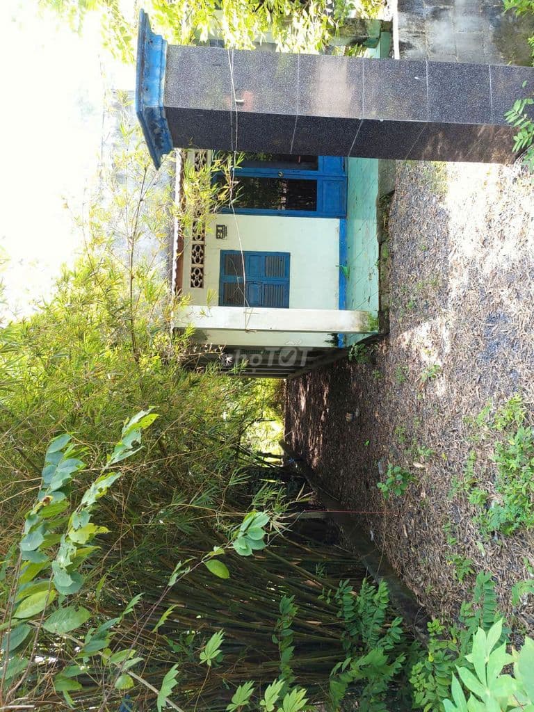 Đường Nguyễn Thị He, diện tích 281m2, 36m2 thổ cư, xã Thái Mỹ - Ảnh 3