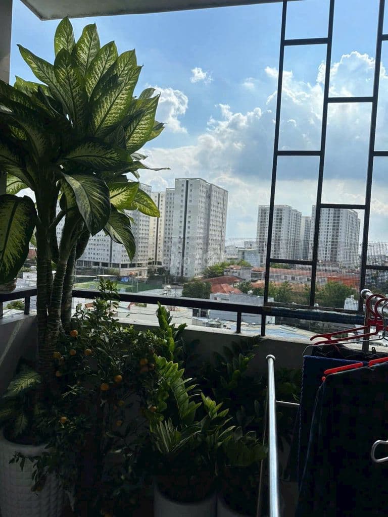 Cần bán căn hộ Kim Tâm Hải đg Trường Chinh Q12 DT 91m2 3PN giá 2tỷ95 - Ảnh 2