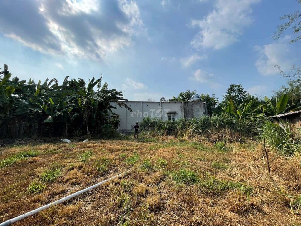 Chính chủ cần bán đất thổ cư phú hòa đông - Ảnh 3