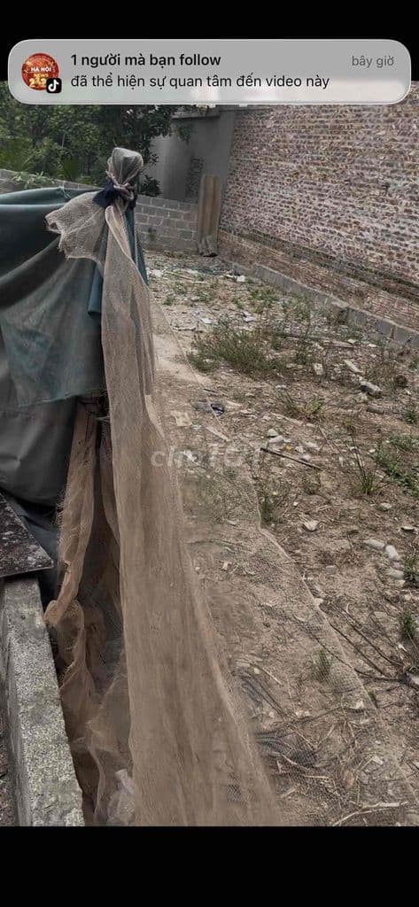 cần bán đất có sổ đỏ xã thượng phúc sát dự án olympic trống đồng - Ảnh 2