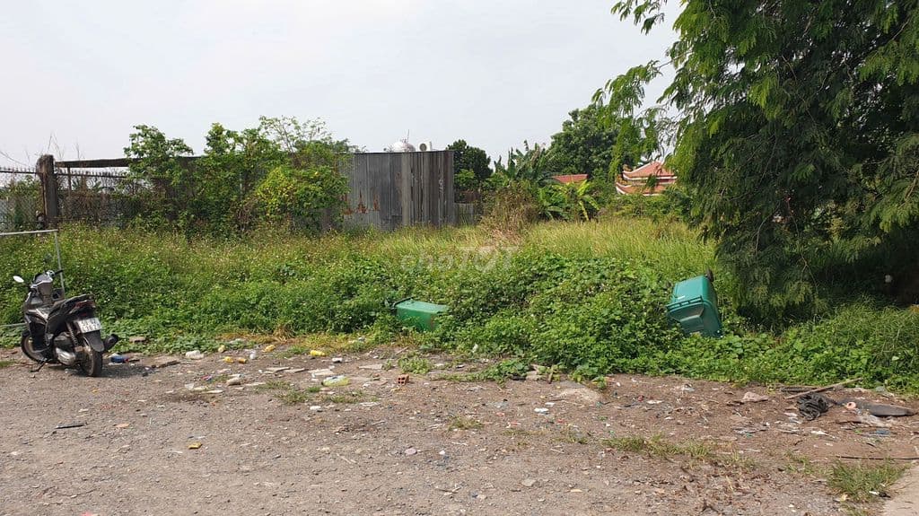 Đất SHR 20x45 đường 5m 1/XTT6 gần công viên sinh thái Hóc Môn - Ảnh 3