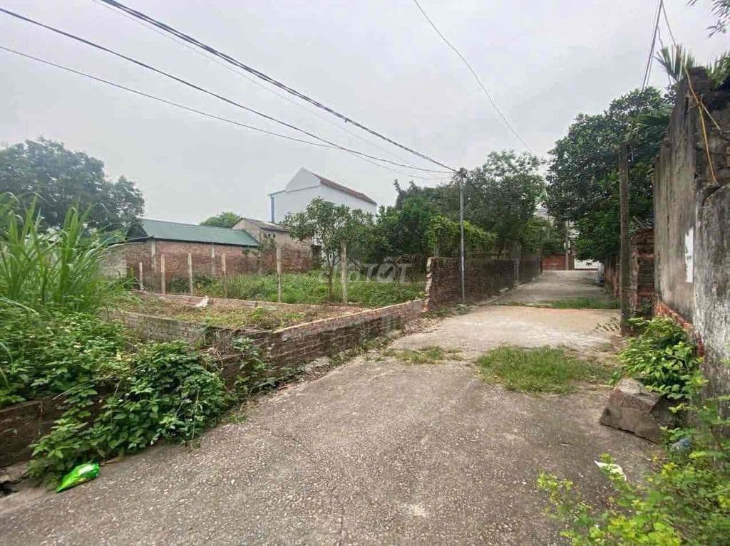 BÁN ĐẤT ĐẠI YÊN, CHƯƠNG MỸ - 64M2 - GIÁ 2,65 TỶ (CÓ THƯƠNG LƯỢNG) - Ảnh 2