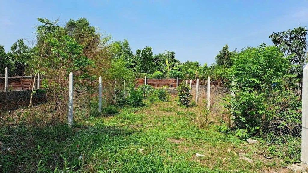 Chủ ngộp bán gấp lô đất 122m2 Đ. Trần Văn Chẩm, Củ Chi. Giá 900 triệu