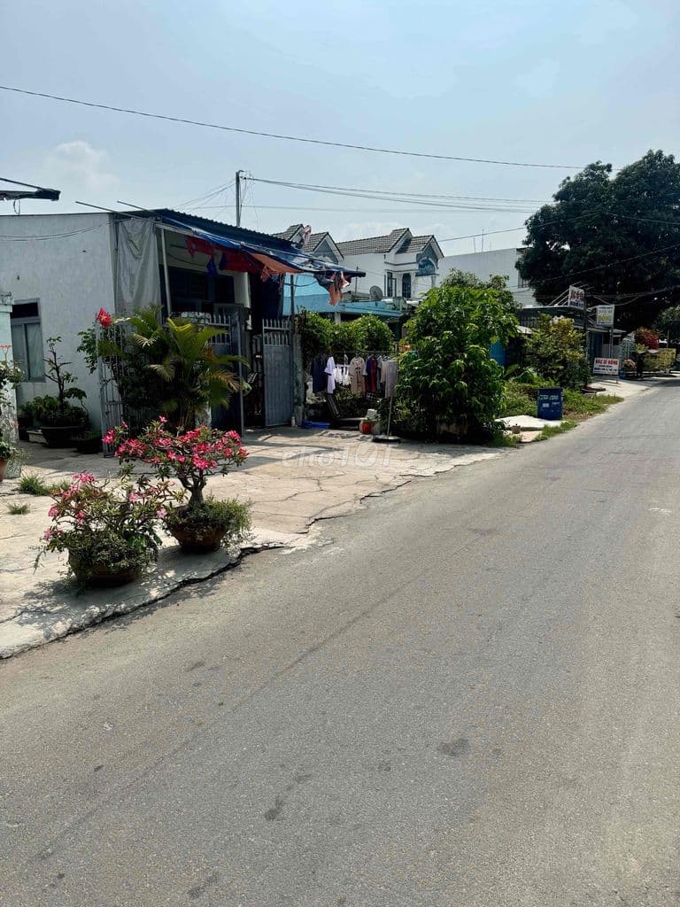 ĐẤT ĐẸP XÂY NHÀ/TRỌ/VƯỜN – 376m² FULL THỔ – KHU DÂN CƯ SẦM UẤT CỦ CHI - Ảnh 3