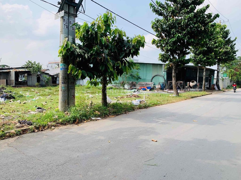 ❤️XÃ BÀ ĐIỂM BÁN ĐẤT 5x24 FULL THỔ CƯ ĐƯỜNG NHỰA THÔNG - Ảnh 2