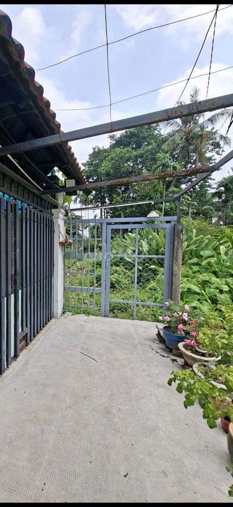 Bán 1133m2 đất Thạnh Lộc 19 Quận 12 giá 18,5 tỷ - Ảnh 3