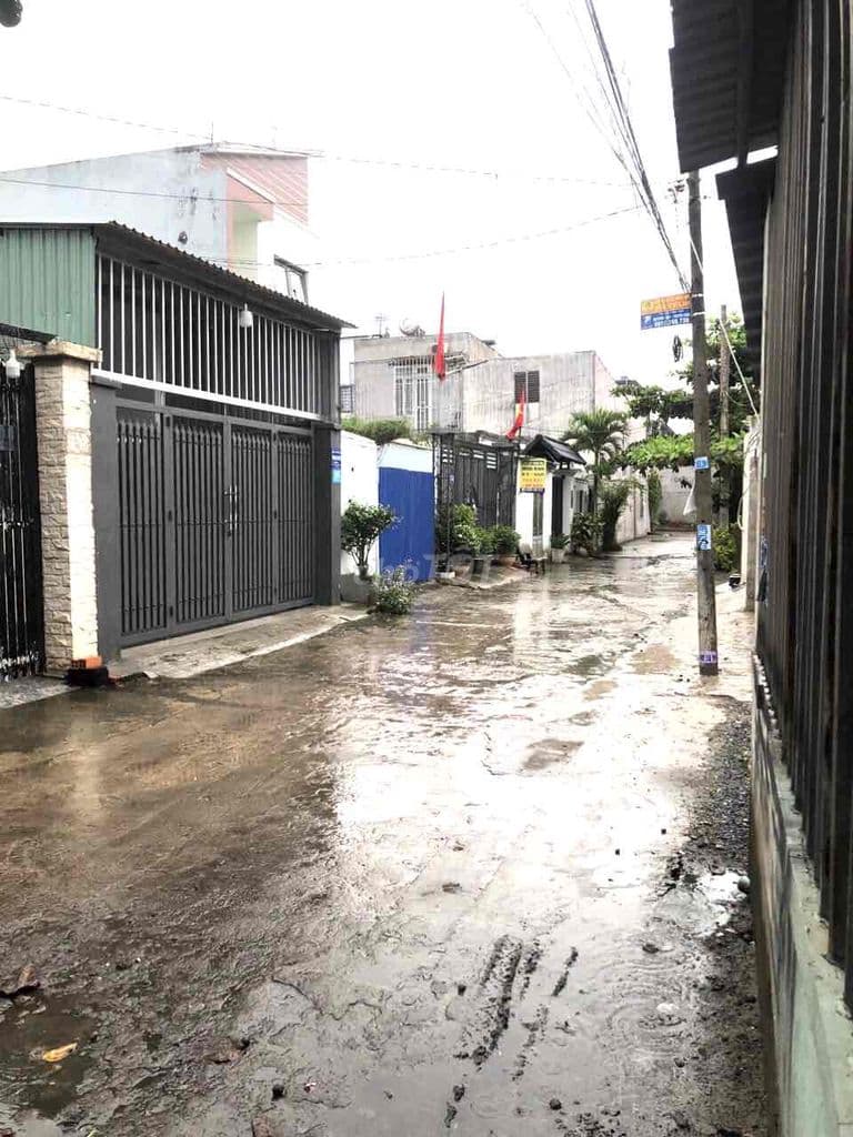 đất bán bình mỹ củ chi - Ảnh 2