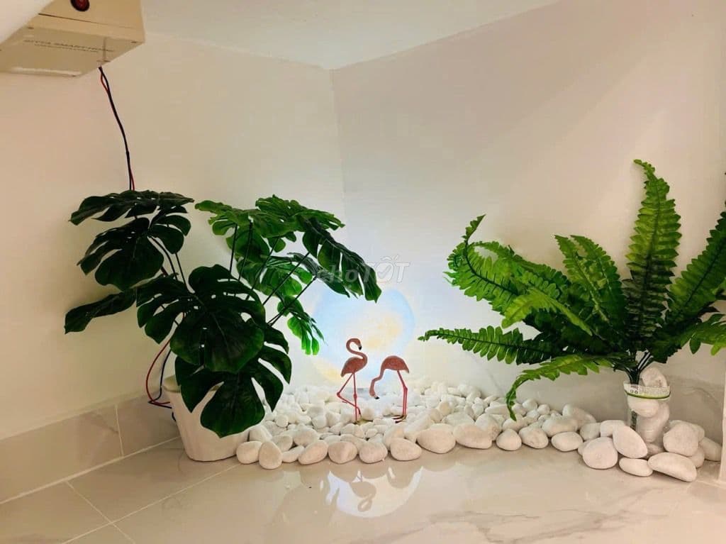🏡 NHÀ ĐẸP Ở LIỀN – NGAY CHỢ AN NHƠN – NGANG LỚN 5.5M -SỔ ĐẸP CHO VAY - Ảnh 2