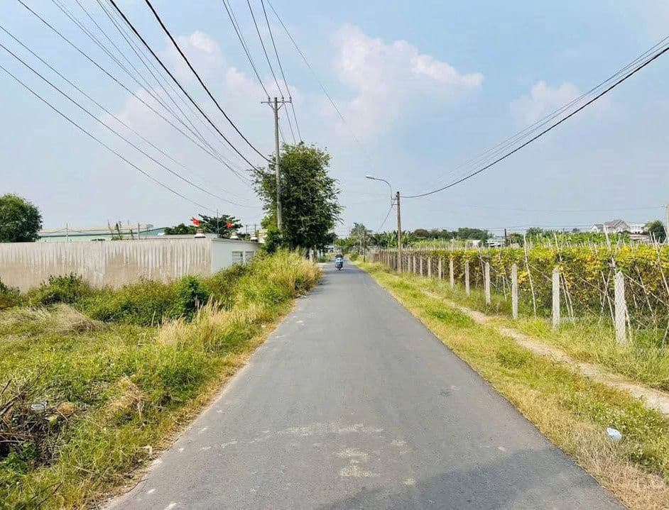 CHỦ GỬILÔ ĐẤT HƠN 409M2 NGANG 10M MT TRẦN QUANG ĐẠO, HỢP LÀM NHÀ VƯỜN - Ảnh 2