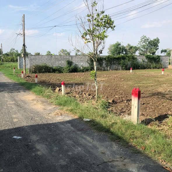 bán đất mặt tiền Đê Bao Hưng Thạnh phường Sơn Qui - Ảnh 3