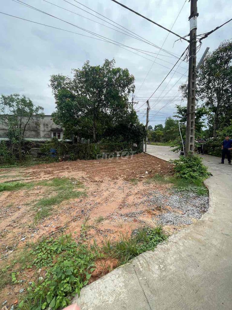 Bán đất xã Tân An Hội, kế bên Sư Đoàn 9, full thổ cư, giá 1 tỷ 190 - Ảnh 2