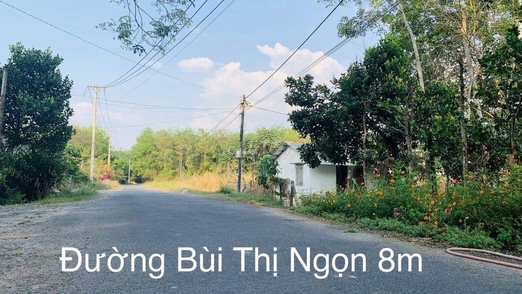 Cần bán: 5.000m2 đất vườn 2 sổ đỏ – An Nhơn Tây, Củ Chi – 6,8 tỷ - Ảnh 3