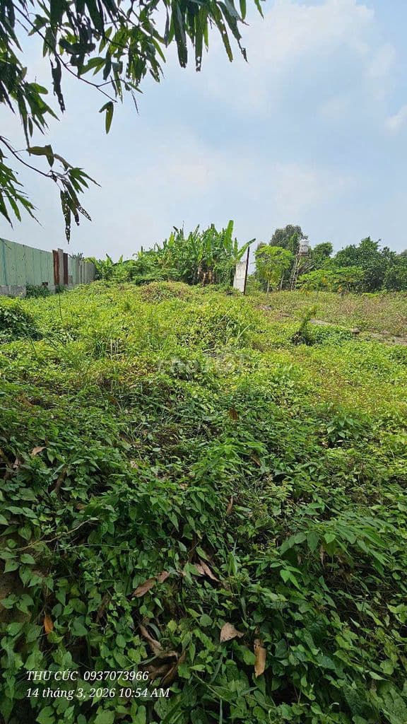 chình chủ bán đất vườn mặt tiền bùi văn sự , bình chánh