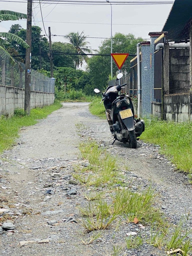 Cần bán gấp đất đẹp Phú Hoà Đông Củ Chi - Ảnh 2