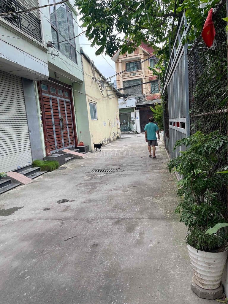 Ô tô đỗ cửa Hoàng Mai, Thang Máy, Kinh Doanh sầm uất, nhà mới 46*5T - Ảnh 2