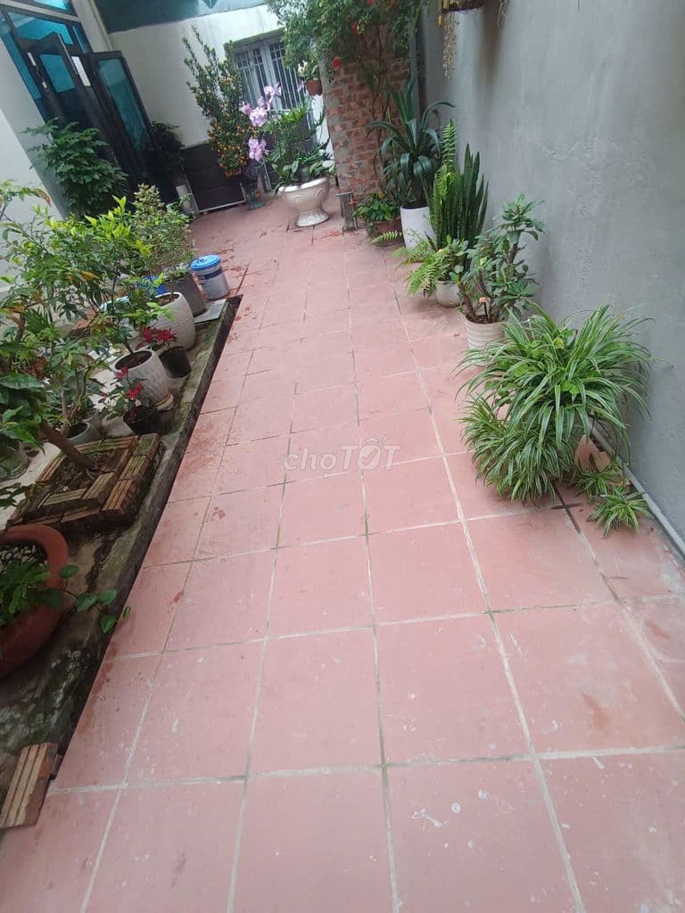 CHỈ 10,1 TỶ CÓ NGAY MẢNH ĐẤT 55M, VUÔNG ĐẸP TRẦN THÁI TÔNG CẦU GIÁY - Ảnh 3