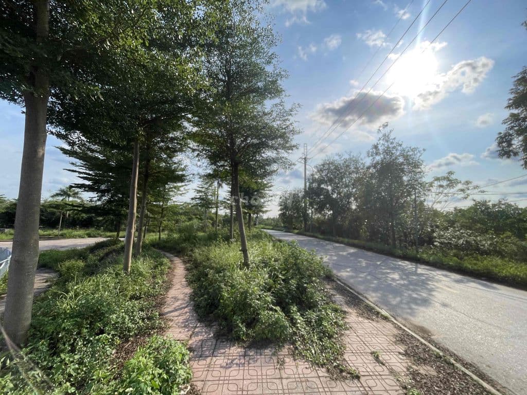 Bán đất Yên Mỹ , 500 m2, oto tải vào đất