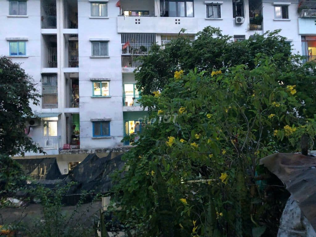 Bán Chung Cư Thạnh Mỹ Lợi, Q2, Thủ Đức, HCM. 65,2m, L3, 2PN, 2WC, SH - Ảnh 2