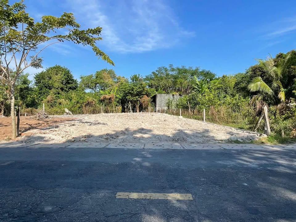 CHỈ 1 TỶ 3 – ĐẤT HUỲNH VĂN CỌ, THỊ TRẤN CỦ CHI – NGANG 10M CỰC HIẾM