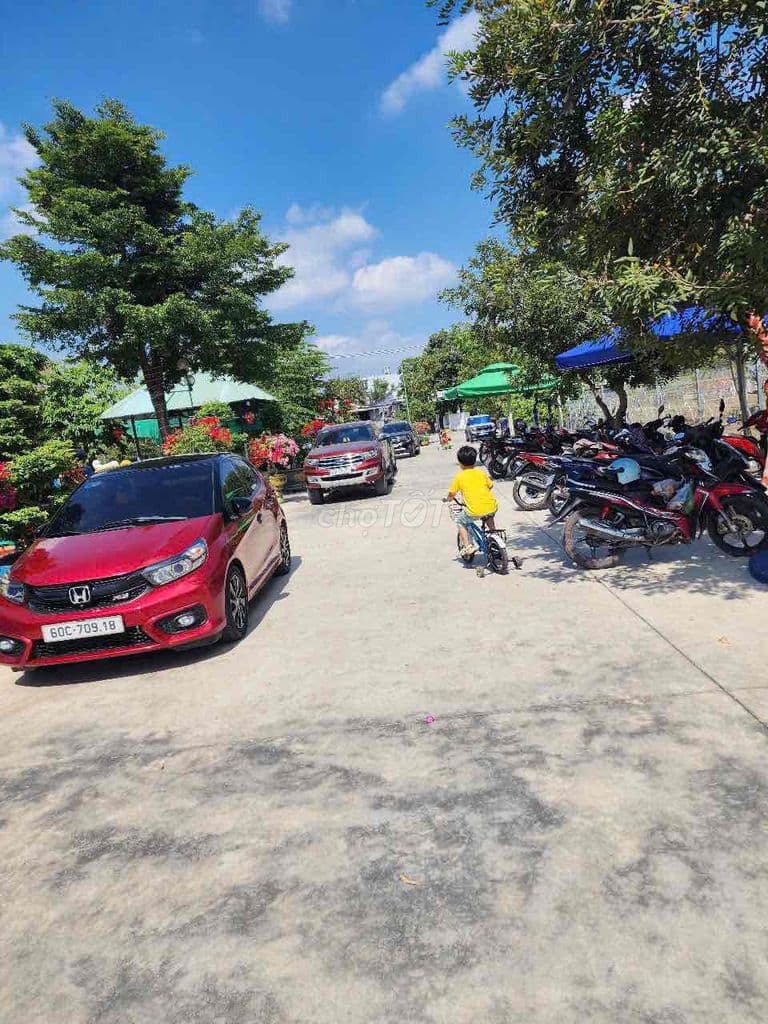 Bán đất Long Thành - Ảnh 2