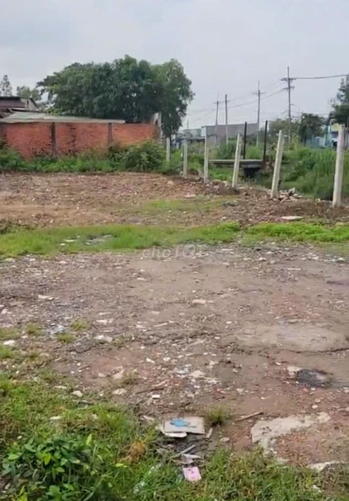 000M2 ĐẤT HAI MẶT TIỀN – KÊNH TRUNG ƯƠNG, CHỦ GIẢM 2 TỶ - Ảnh 2