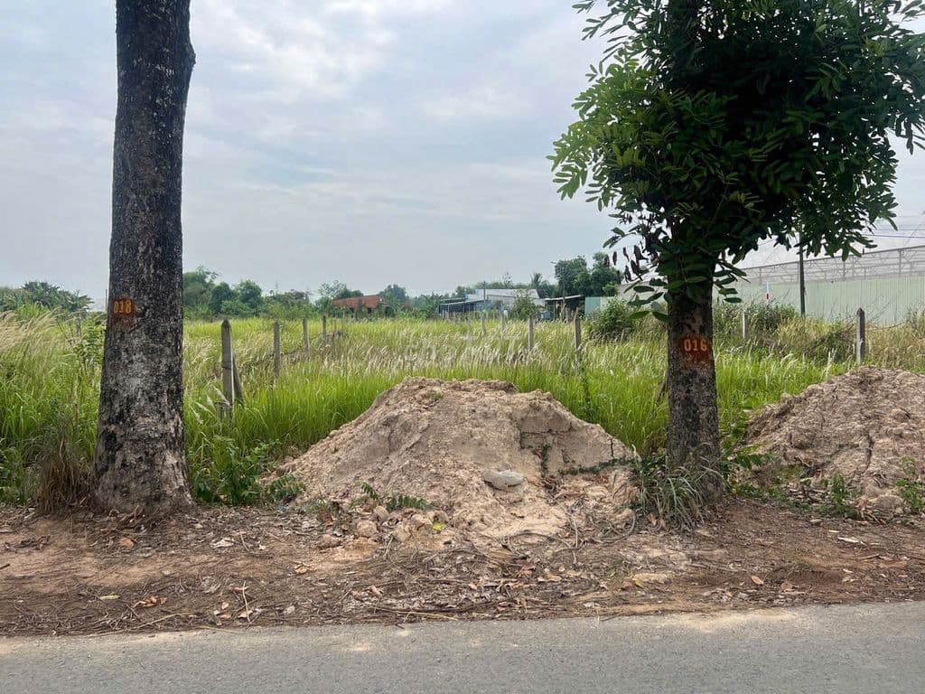 Chủ cần tiền bán lô đất thổ cư 165m2 đường cây trôm-shr -giá chỉ 575tr