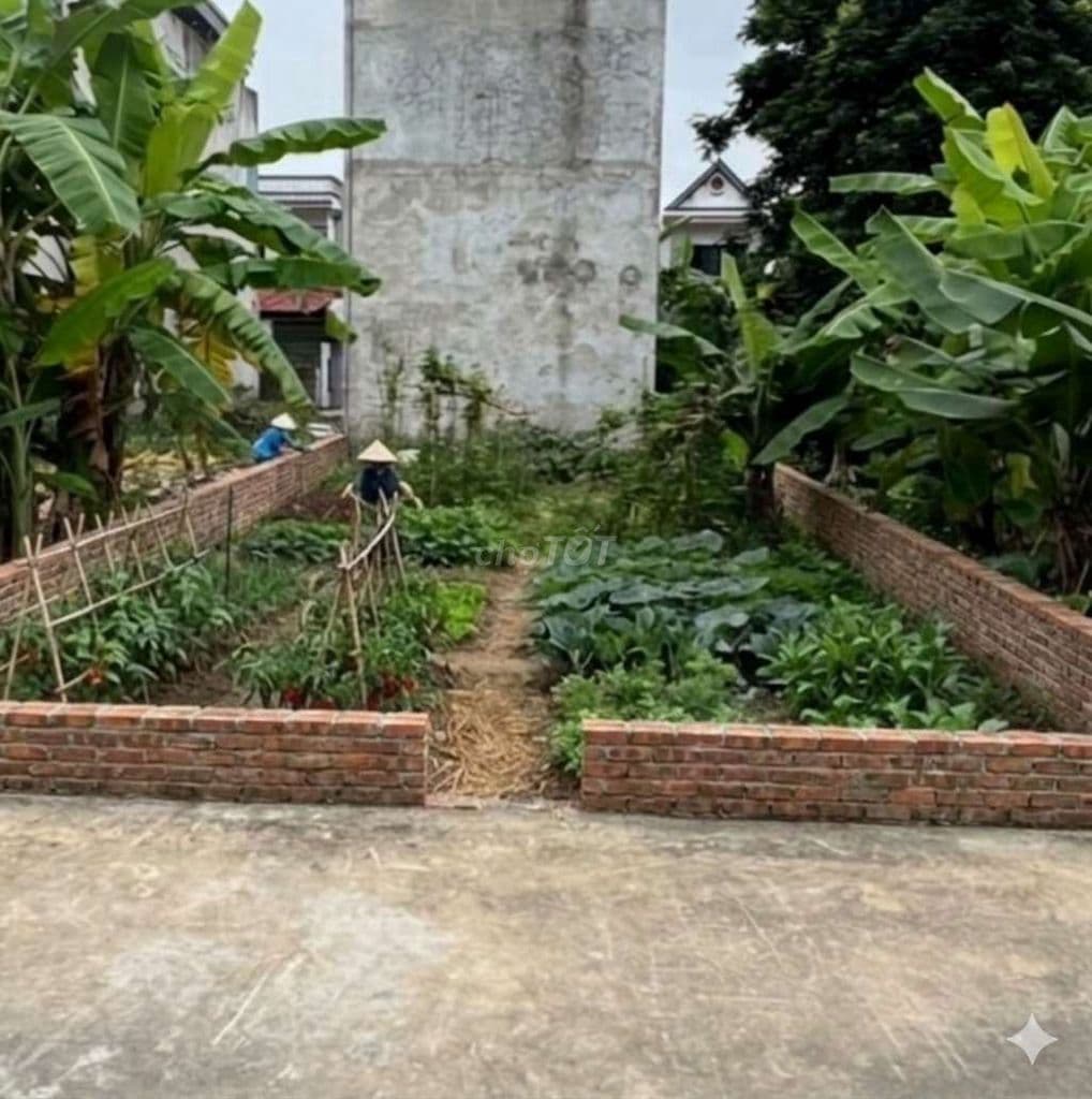 ĐẤT ĐẸP 60M2 TẠI SÓC SƠN - Ô TÔ VÀO TẬN ĐẤT - TIỀM NĂNG SINH LỜI CAO