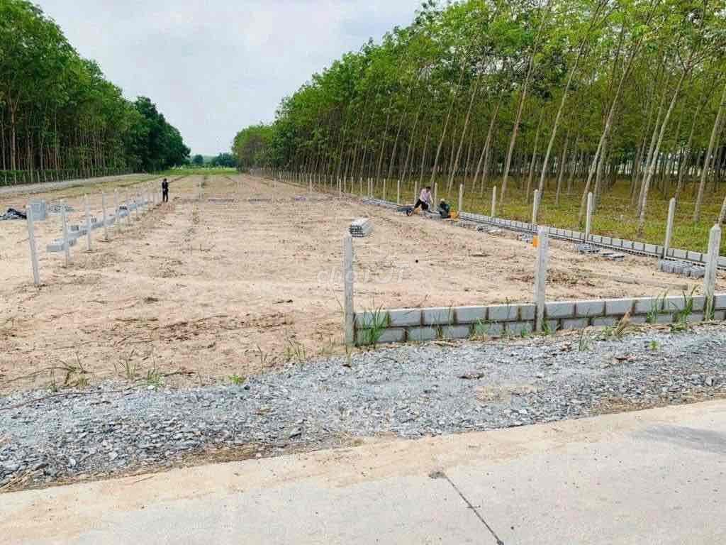🌿 BÁN ĐẤT Nhuận Đức – Củ Chi – 500m² – ĐƯỜNG 6M – CHỈ 2.4 TỶ