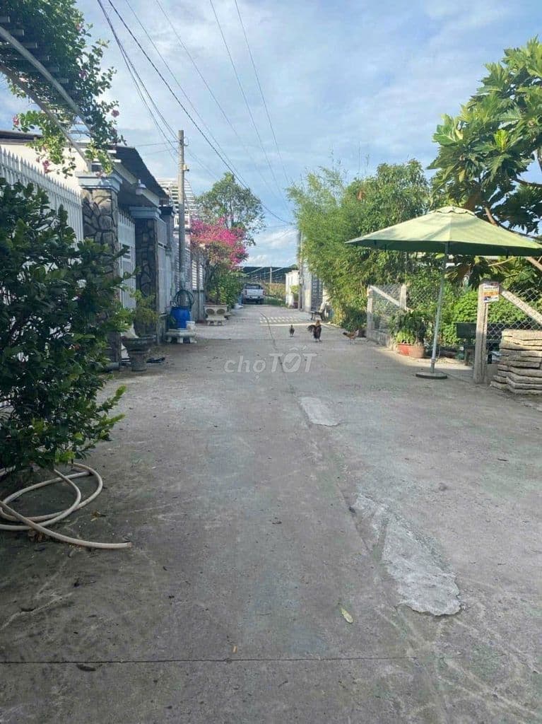 Nợ bank cần bán gấp Lô đất TÂN PHÚ TRUNG 135m2 thổ cư - Ảnh 3