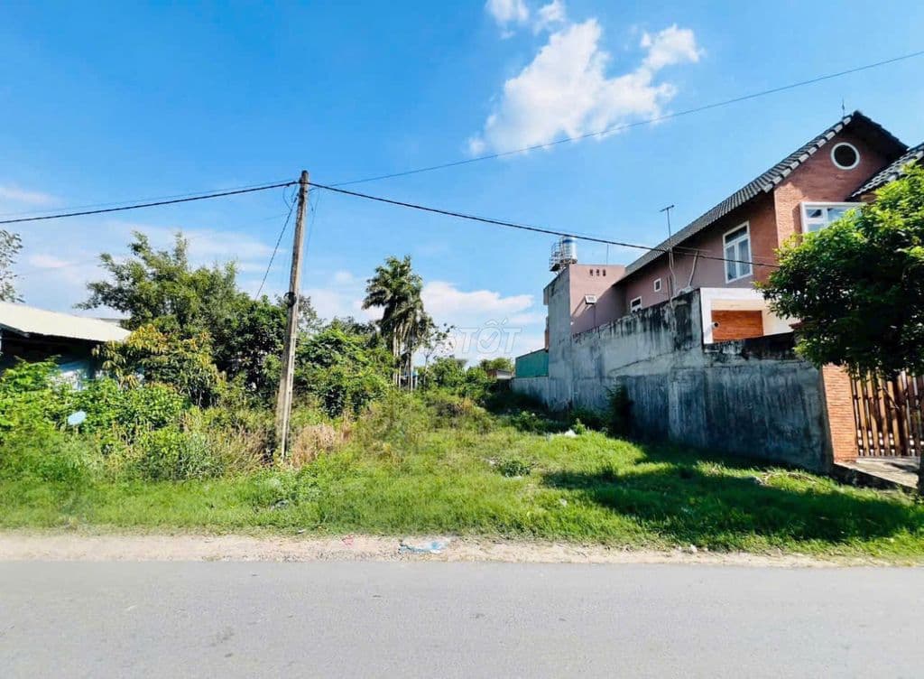 CHỦ NGỢP BÁN GẤP! Đất Củ Chi 242,9m² Đường 65 Giá Chỉ 750Tr