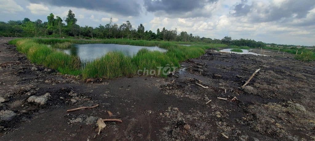 Cần bán đất Nông nghiệp
