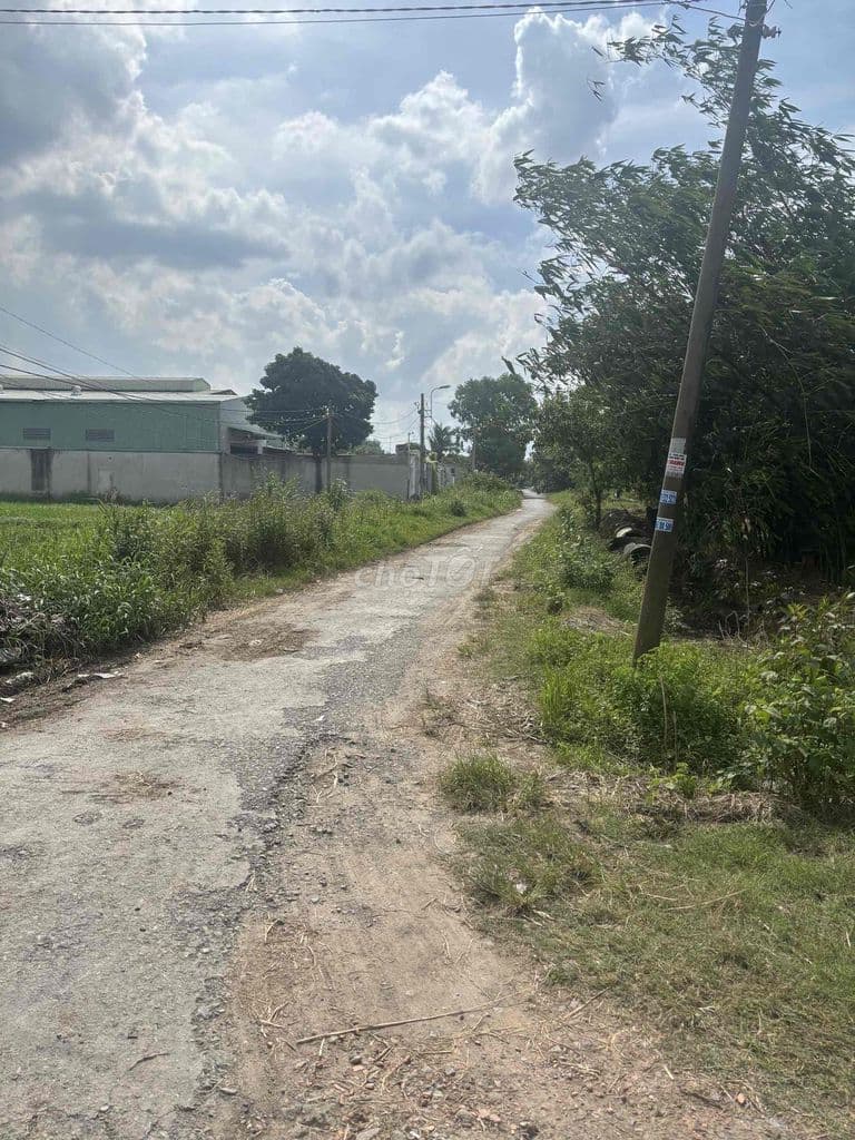 Bán đất Cây lâu năm mặt tiền hẻm nhựa ô tô tải - Ảnh 3