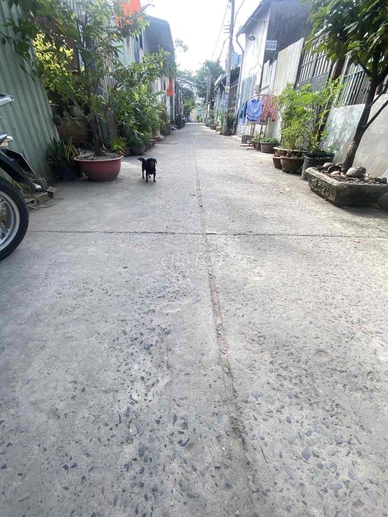 bán gấp nhà 88m2. 4.4x20. hxh. Bình thành . bhhb - Ảnh 2