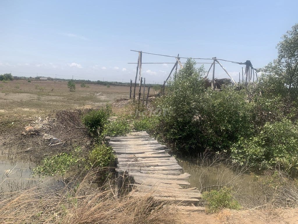 Bán GẤP lô đất MẶT TIỀN đá xanh Lý Nhơn, Cần Giờ 🔹🔹🔹🔹🔹🔹🔹🔹🔹🔹🔹🔹🔹🔹🔹 - Ảnh 2