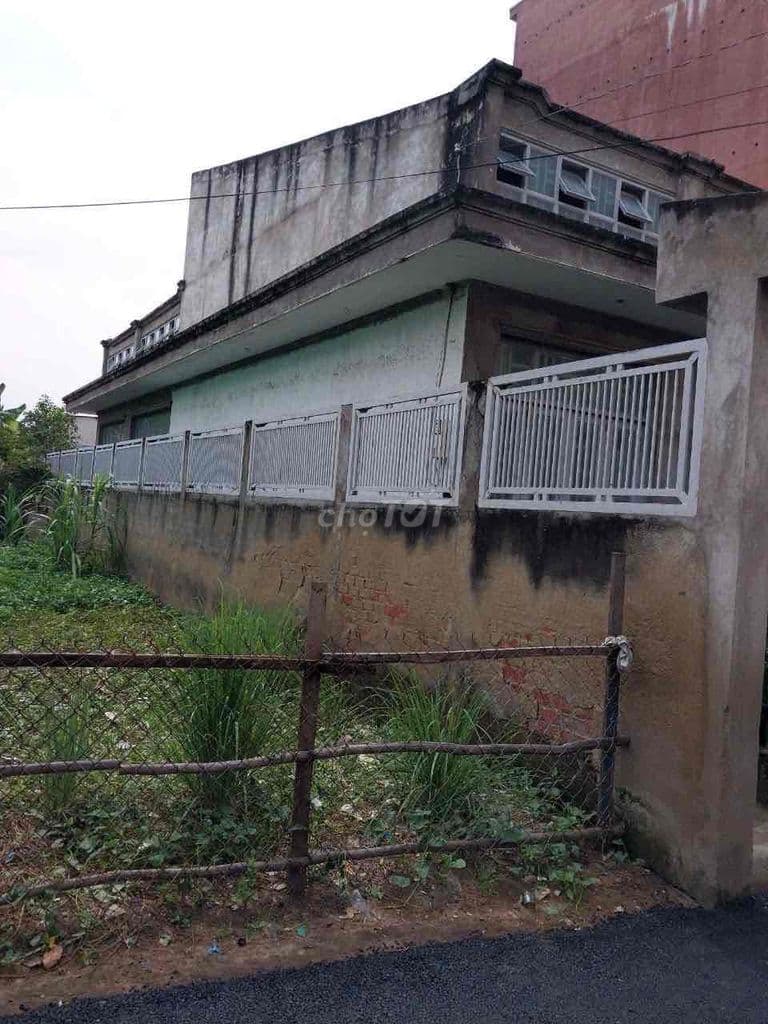 Bán gấp , nhà C4 ,ngang 8x25m ,Trần Quang Đạo , Bình Khánh - Ảnh 2